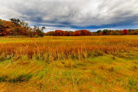 Colorful fall scenery. Stock Photos