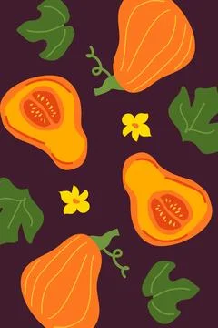 Colorful fall squash and leaf pattern with dark background Stock Illustration