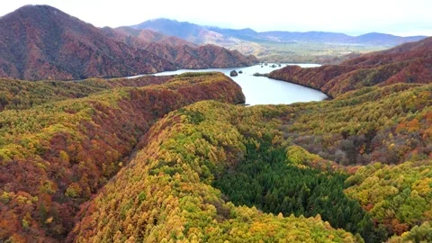 Colorful Fall Trees Valley Drone Shot Overhead View Stock Footage 329054282