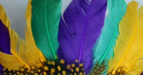Colorful feather Stock Footage 150432055