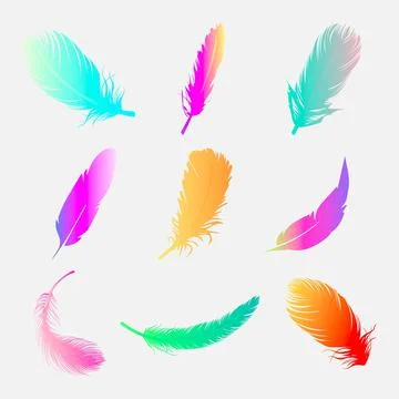 Colorful Feather Icon Element Set Stock Illustration