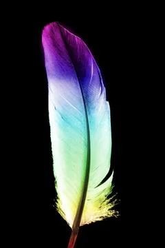 Colorful feather イラスト素材