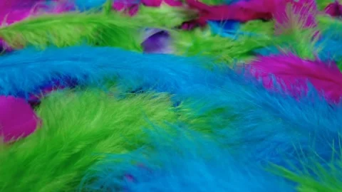 Colorful feather pattern 스톡 동영상 234267021