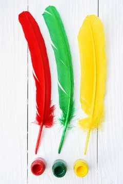 Colorful feather Stock Photos