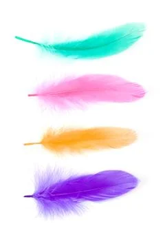 Colorful Feather Stock Photos
