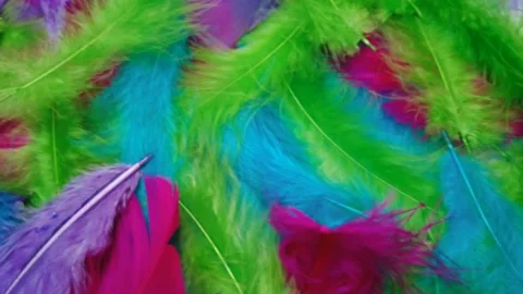 Colorful Feathers 스톡 동영상 234267018