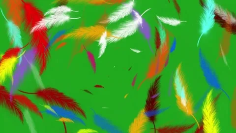 Colorful feathers motion graphics with green screen background Stock Footage 245047133
