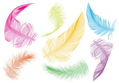 Colorful feathers, vector set Stock Illustration