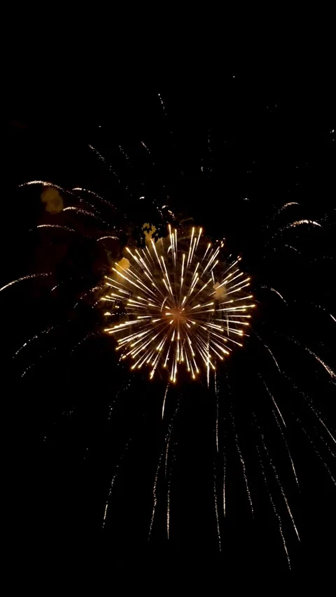 Colorful festive fireworks explode against the black sky. Stock Footage 340587045