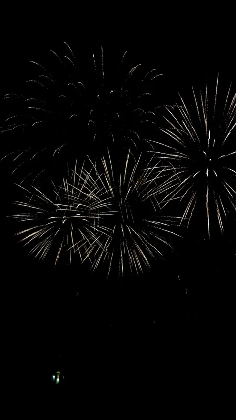 Colorful festive fireworks explode against the black sky. Stock Footage 344751183