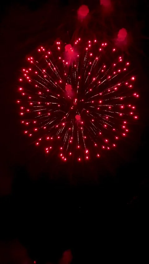 Colorful festive fireworks explode against the black sky. Stock Footage 344751218