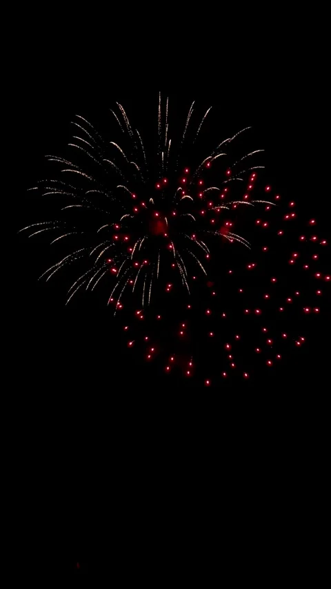 Colorful festive fireworks explode against the black sky. Stock Footage 344751248
