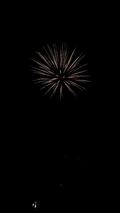 Colorful festive fireworks explode against the black sky. Video stock 344751251