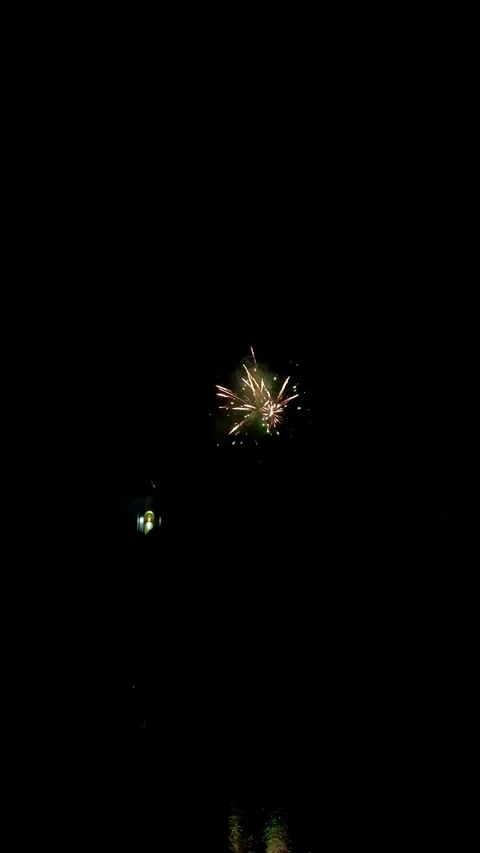 Colorful festive fireworks explode against the black sky. Stock Footage 344751387