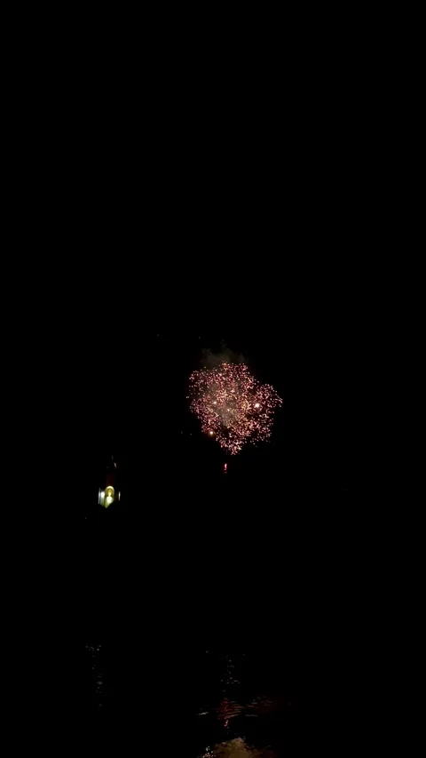 Colorful festive fireworks explode against the black sky. Stock Footage 344751400