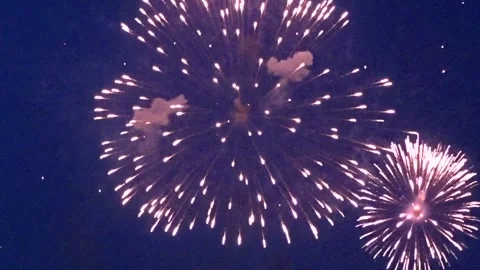 Colorful festive fireworks Stock Footage 282505053