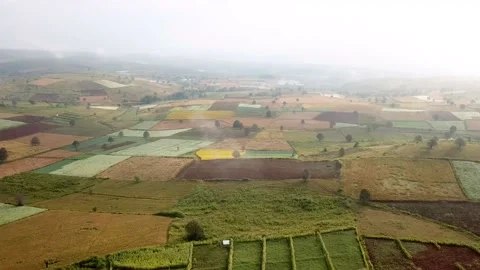 Colorful fields Stock Footage 156094559