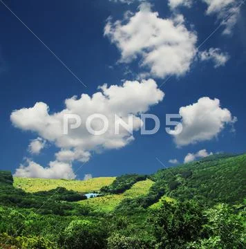 Colorful fields - landscape green grass,lake, blue sky and white clouds Stock Photos