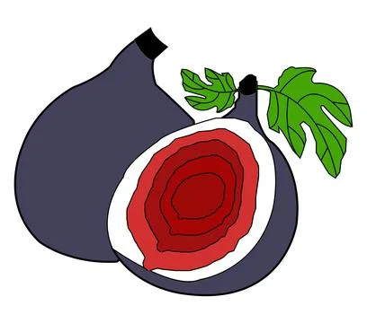 Colorful fig with two leaf vector design Stock Illustration