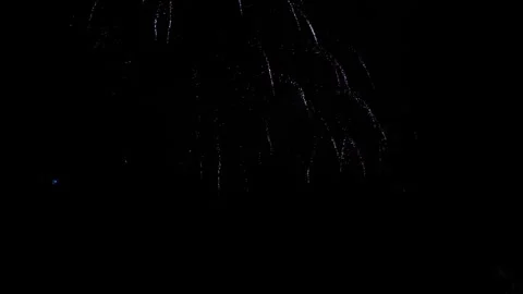 Colorful firework celebration on dark night sky background. Vídeos de archivo 276701088