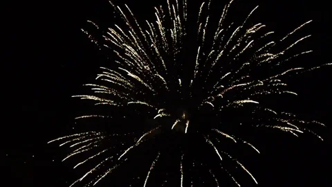 Colorful Firework lights in the night sky.  New year's eve Stock Footage 83962053