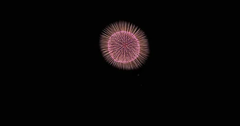 Colorful firework at night (with alpha channel) Stock Footage