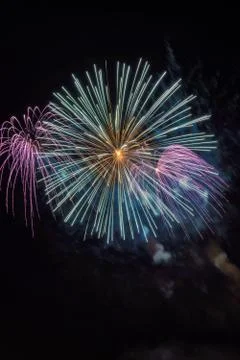 Colorful firework in a night sky Foto stock