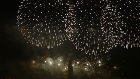 Colorful fireworks circle of light Stock Footage 80998359