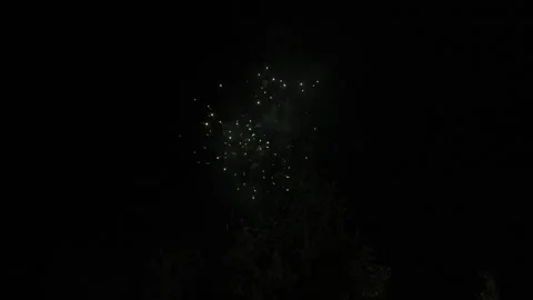 Colorful fireworks explode against the night sky Stock-Footage 301976759
