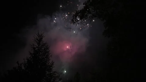 Colorful fireworks explode against the night sky Stock-Footage 301976771