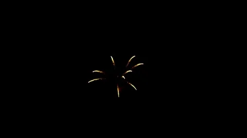 Colorful fireworks explode in the dark night sky event Stock Footage 329673914