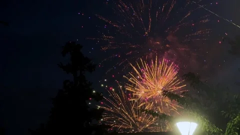 Colorful fireworks explode in the night sky above trees and a street lamp Stock Footage 281049068