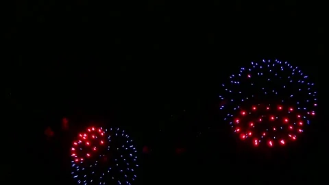 Colorful Fireworks Exploding Against Black Night Sky Stock Footage 342059155