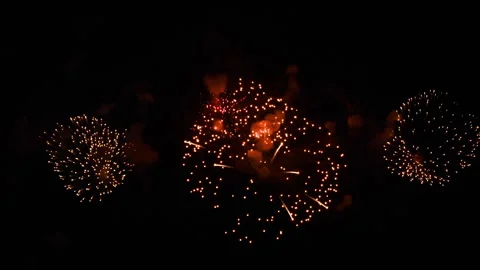 Colorful fireworks exploding in the dark night sky Stock Footage 339204704