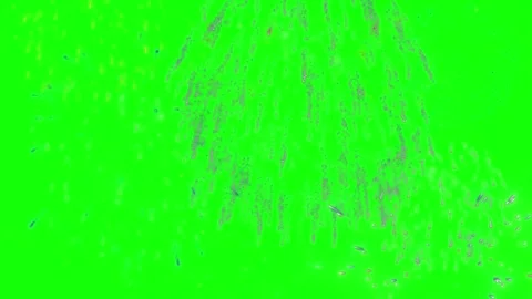 Colorful fireworks exploding on green screen. Bright pyrotechnic display for Stock-Footage 340717168