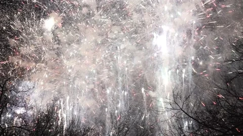 Colorful fireworks exploding with intensity in the night sky Stock Footage 235229070