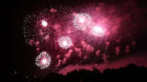 Colorful fireworks exploding in the night sky Stock Footage 26354703