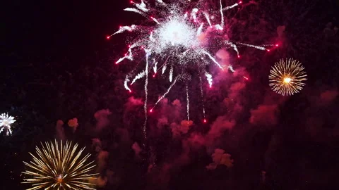 Colorful Fireworks Exploding in the Night Sky. Real Colorful Fireworks Festival Video stock 273695419