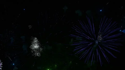Colorful Fireworks Exploding in the Night Sky. Real Colorful Fireworks Festival Stock Footage 313717364