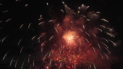 Colorful fireworks exploding in the night sky. Slow motion Video stock 319816697
