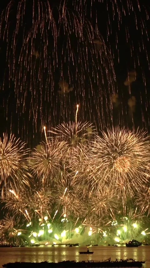 Colorful fireworks exploding in night sky. Explosion of pyrotechnics. Vertical Stock Footage 324941374