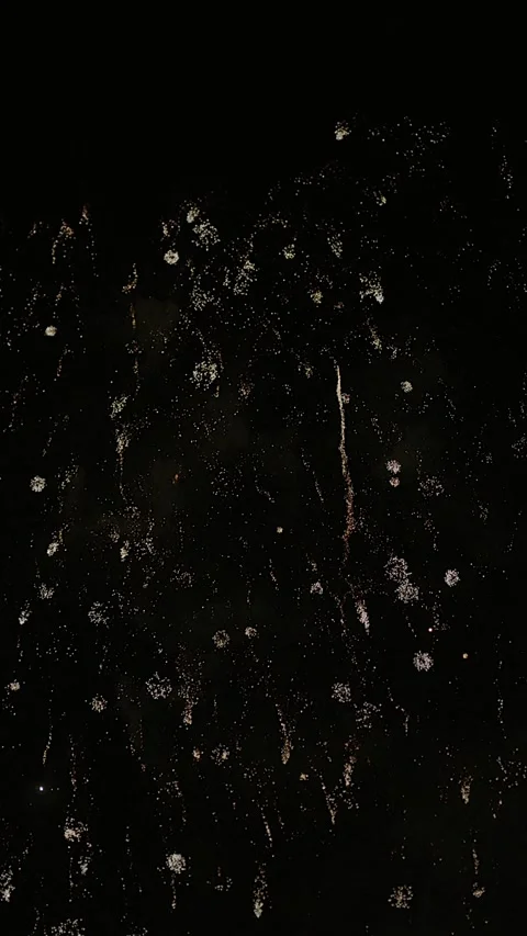Colorful fireworks exploding in night sky Stock Footage 327769710