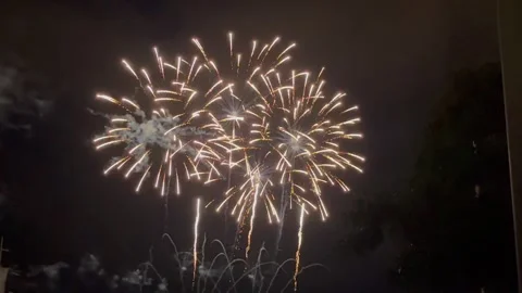 Colorful Fireworks Exploding in the Night Sky 스톡 동영상 331428000