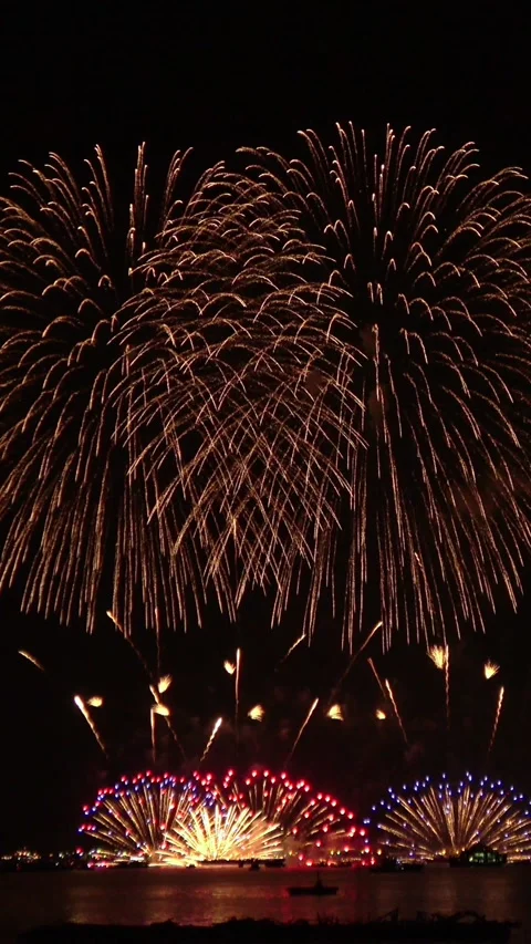 Colorful fireworks exploding in night sky. Explosion of pyrotechnics. Vertical Video stock 340243723