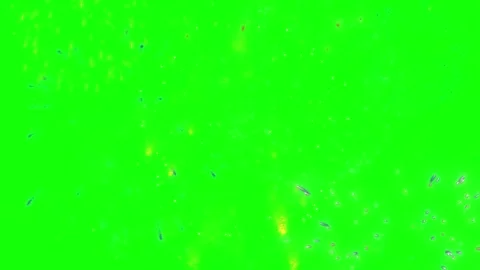 Colorful fireworks exploding in night sky. Vibrant pyrotechnic display with 스톡 동영상 340944088