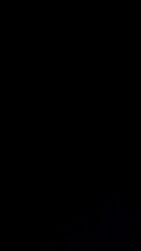 Colorful Fireworks Exploding in Night Sky Stockbeeldmateriaal 347474463