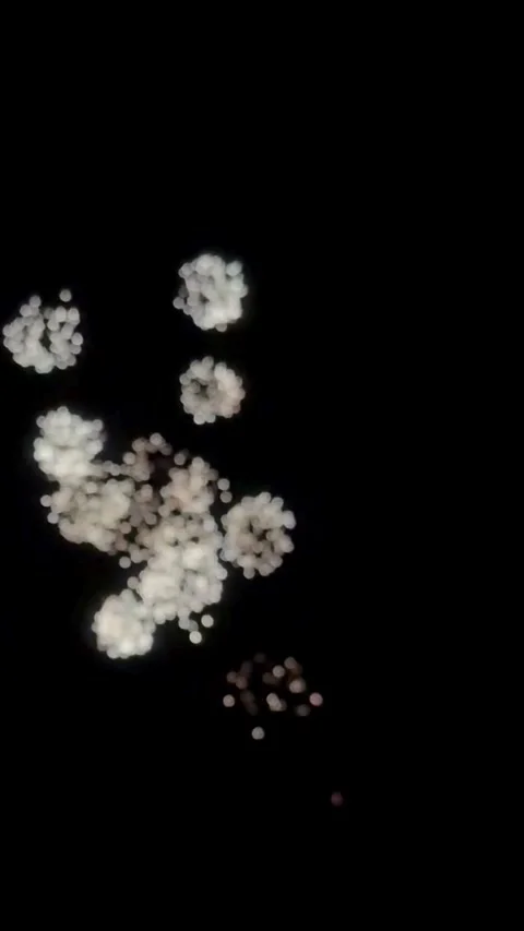 Colorful Fireworks Exploding in Night Sky Stockbeeldmateriaal 347474464