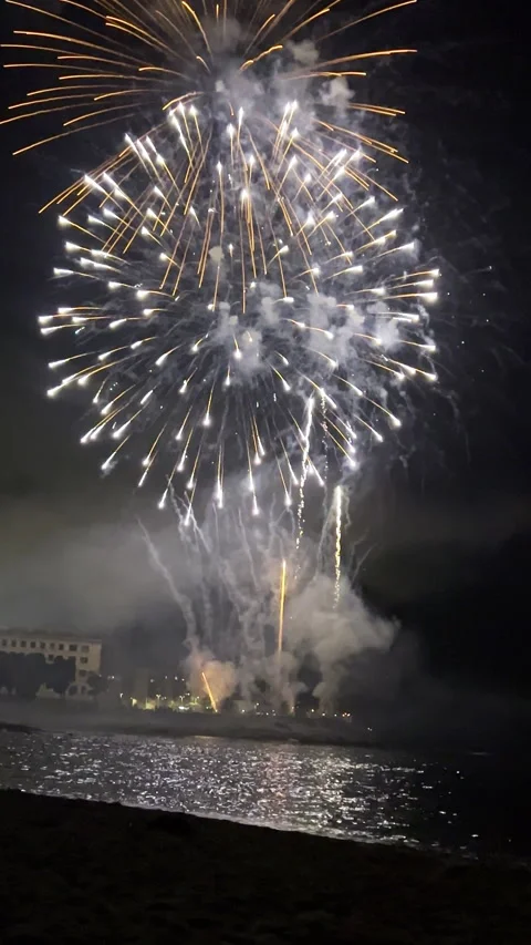 Colorful fireworks exploding over the sea at night Stock Footage 315660796