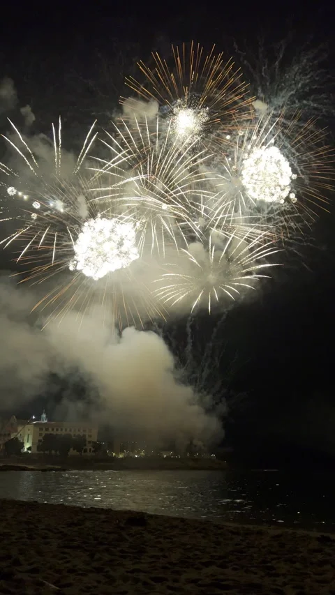 Colorful fireworks exploding over the sea at night Stock Footage 315660825