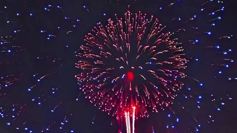 Colorful Fireworks Explosion in Night Sky Stock Footage 329616099